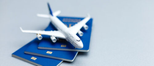 toy plane passports