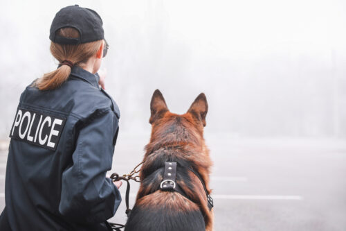 police officer dog